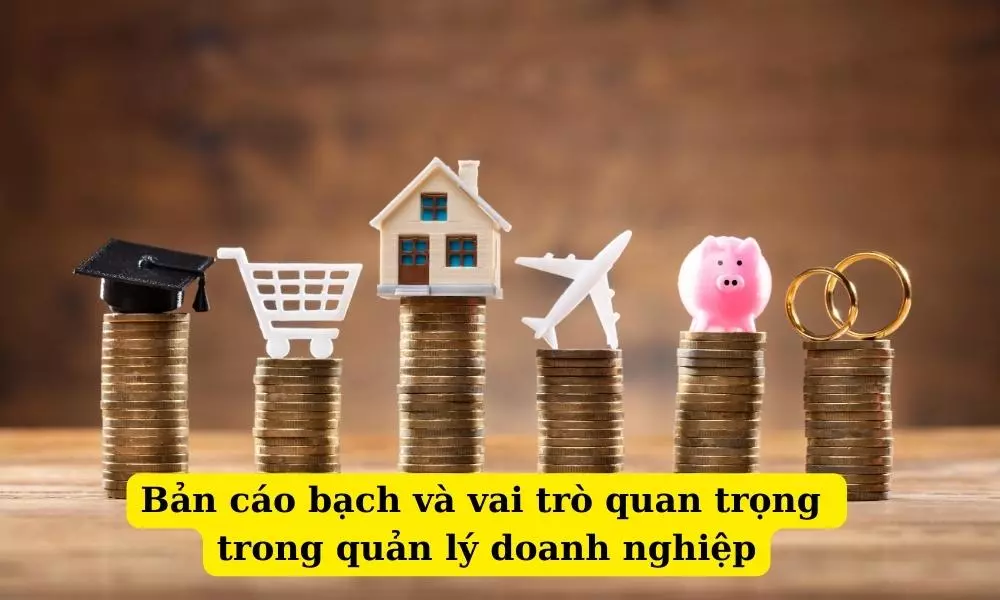ban-cao-bach-va-vai-tro-quan-trong-trong-quan-ly-doanh-nghiep