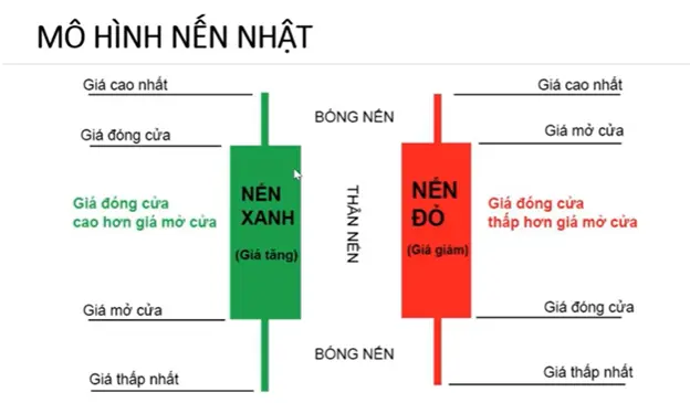 bieu-do-nen-la-gi-04