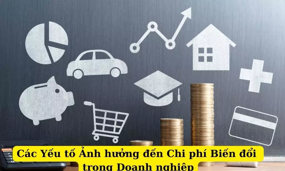 chi-phi-bien-doi-la-gi