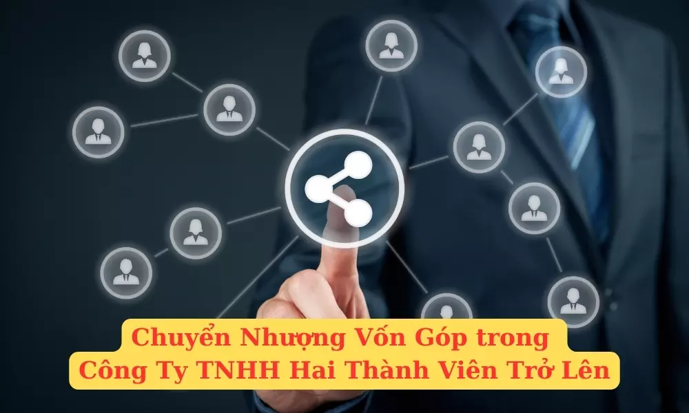 chuyen-nhuong-von-gop-trong-cong-ty-tnhh-hai-thanh-vien-tro-len