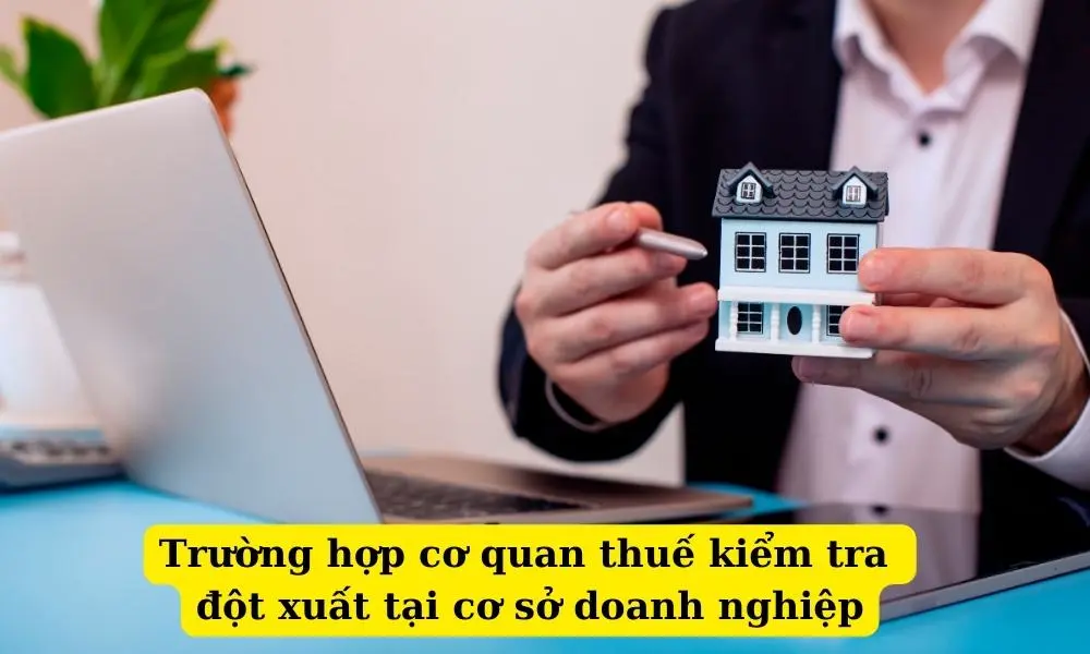 g-hop-co-quan-thue-kiem-tra-dot-xuat