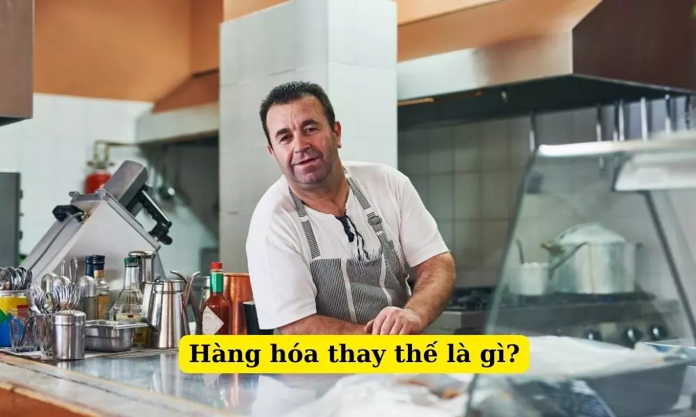 hang-hoa-thay-the-la-gi