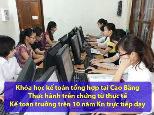 khoa-hoc-ke-toan-tong-hop-tai-cao-bang-thuc-te