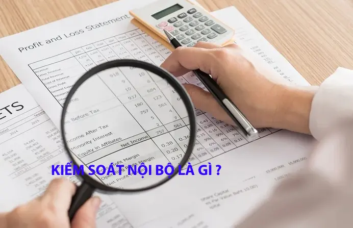 kiem-soat-noi-bo-la-gi