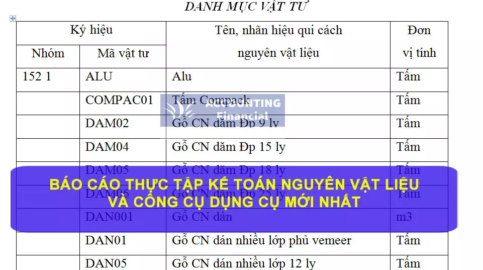 mau-bao-cao-thuc-tap-ke-toan-nguyen-vat-lieu-cong-cu-dung-cu