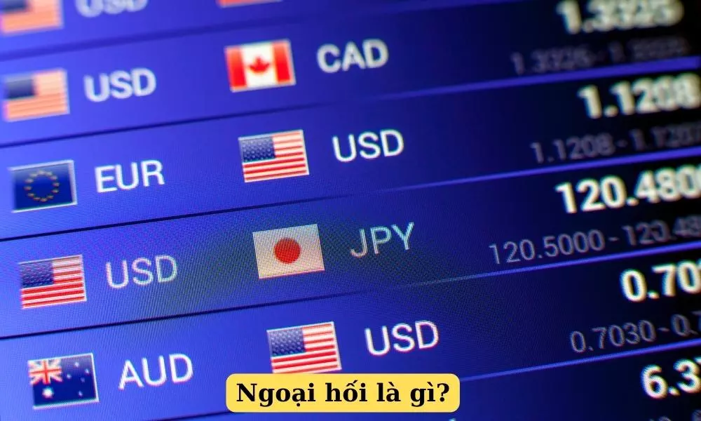 ngoai-hoi-la-gi