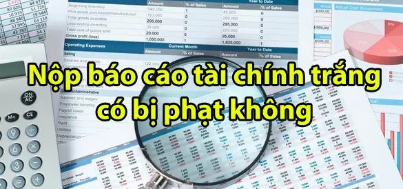 nop-bao-cao-tai-chinh-trang-co-bi-phat-khong