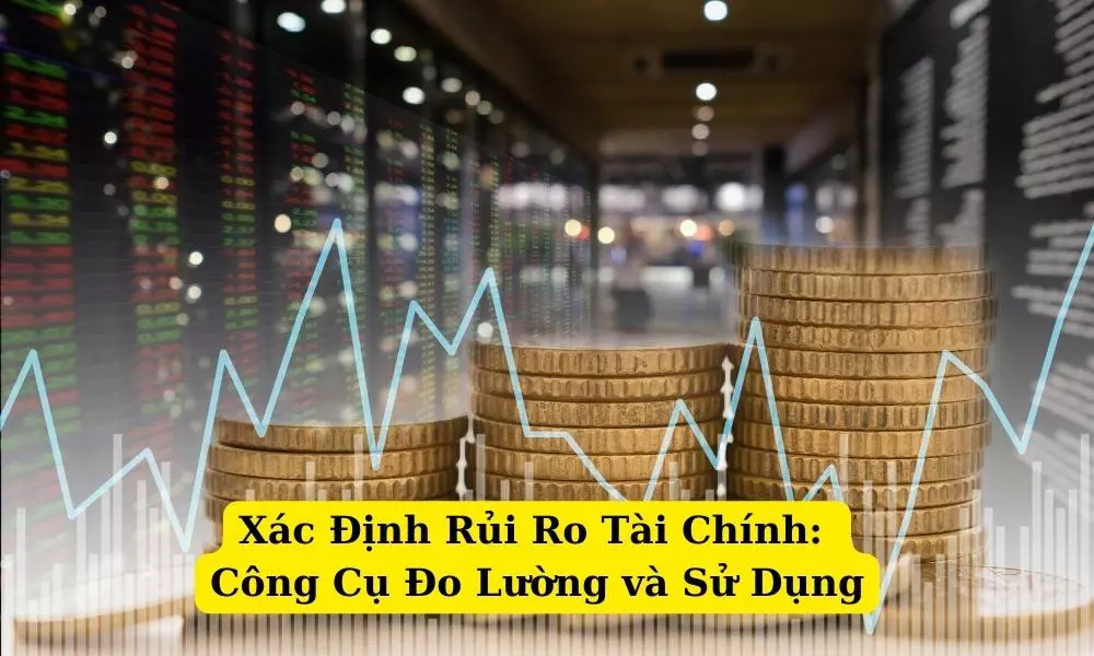 rui-ro-tai-chinh-la-gi