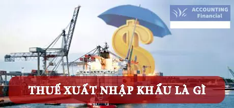 thue-xuat-nhap-khau-la-gi
