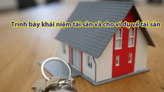 trinh-bay-khai-niem-tai-san-va-cho-vi-du-ve-tai-san