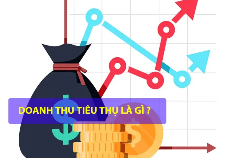 doanh-thu-tieu-thu-la-gi