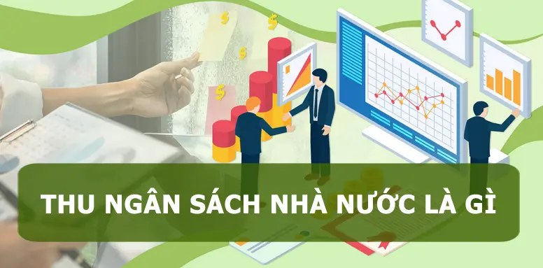 thu-ngan-sach-nha-nuoc-la-gi-01